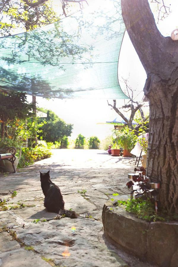 Apartments Baredi Izola Dış mekan fotoğraf