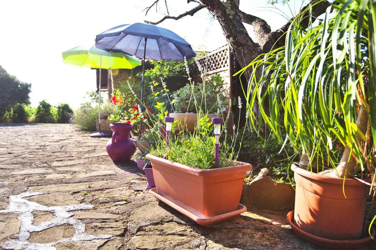 Apartments Baredi Izola Dış mekan fotoğraf